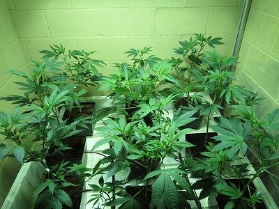 39 Day 1