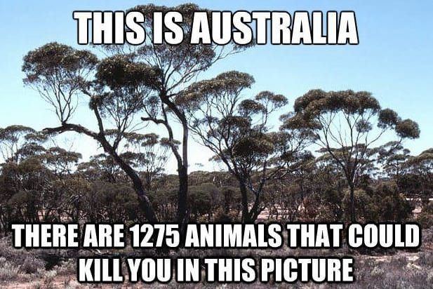 3b216b0d57a3a8c6b29762178ce123f9
