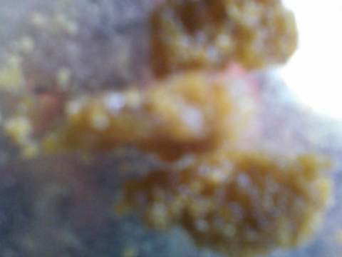 3c14005d13a1  1351709335000