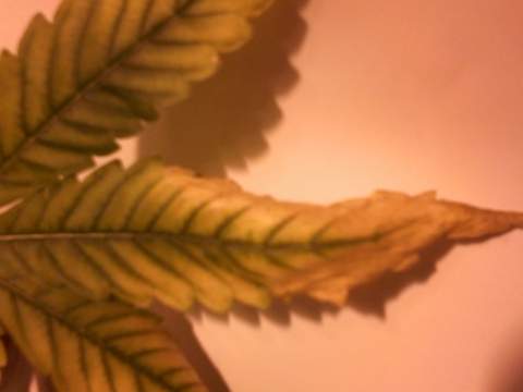 3cbd40290f9d  1353463559000