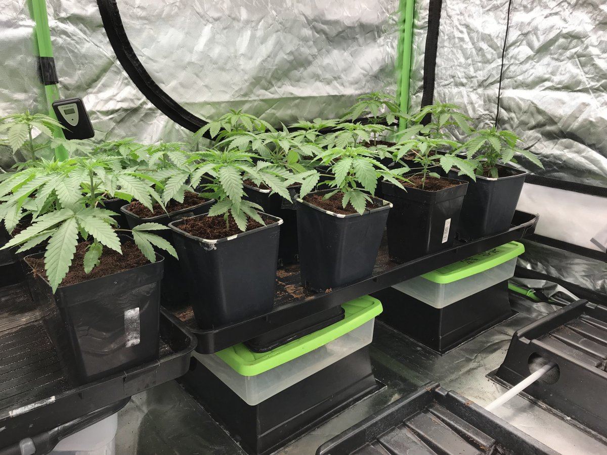 3weeks3