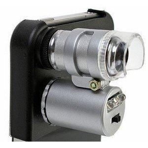 41RlQ7ccoFL SL500 AA300 