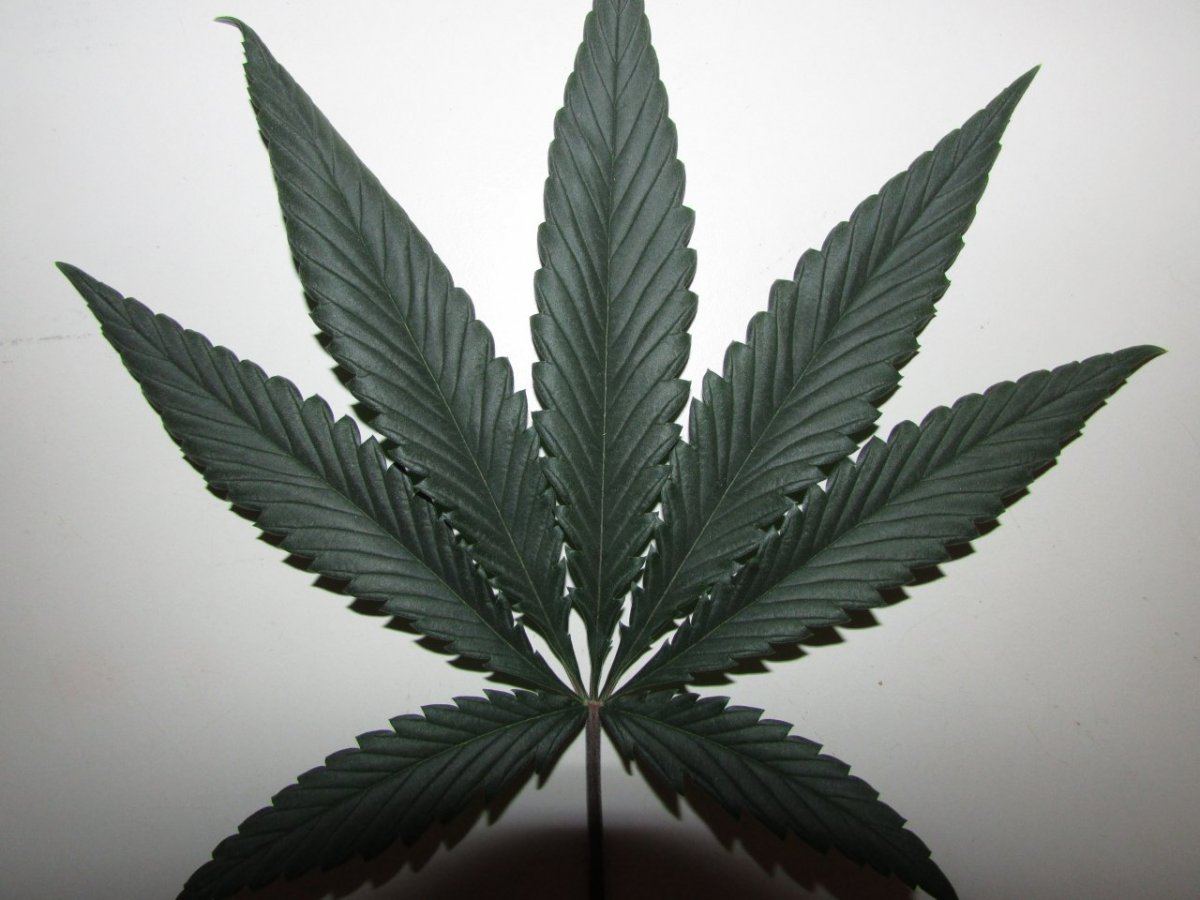 420 is nigh 055