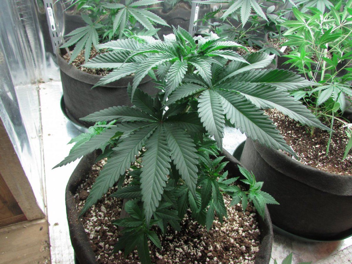 420 is nigh 056