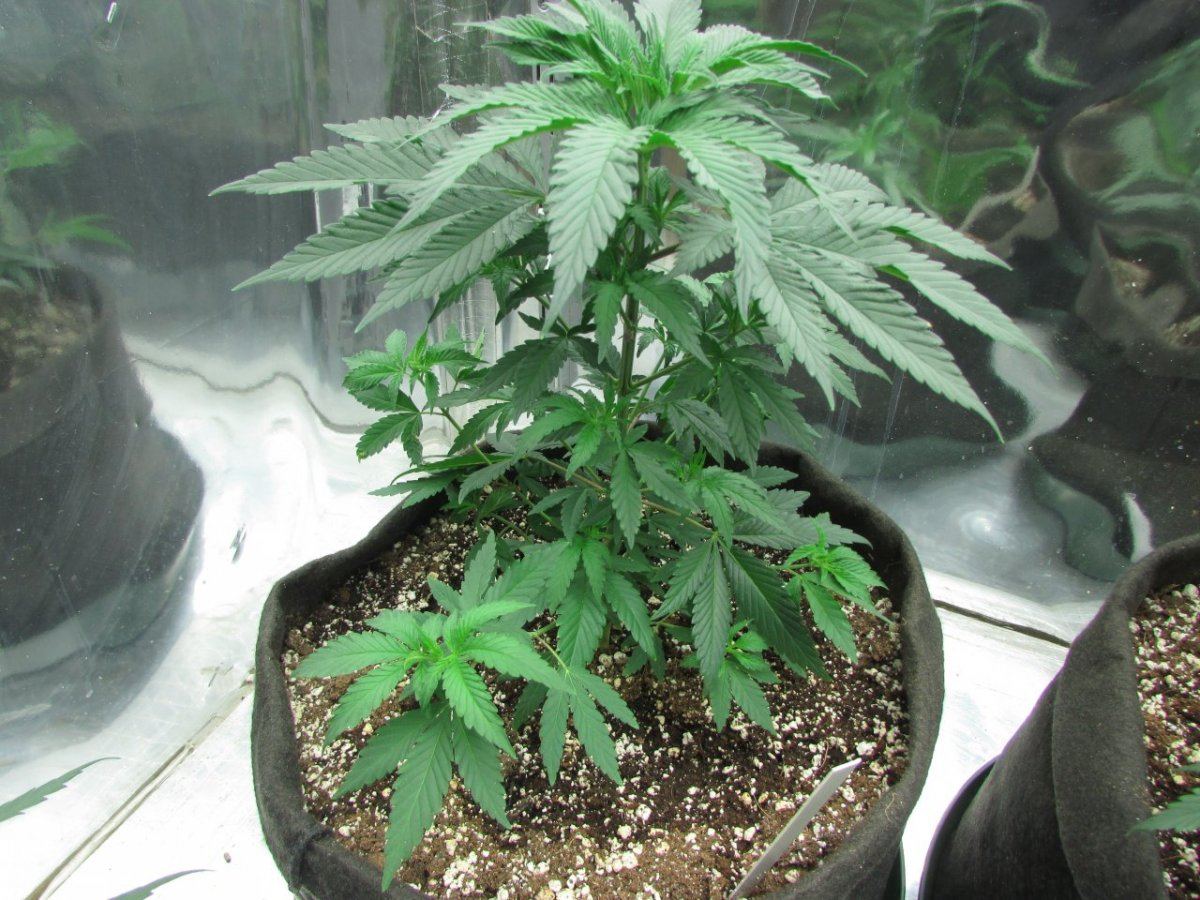 420 is nigh 060