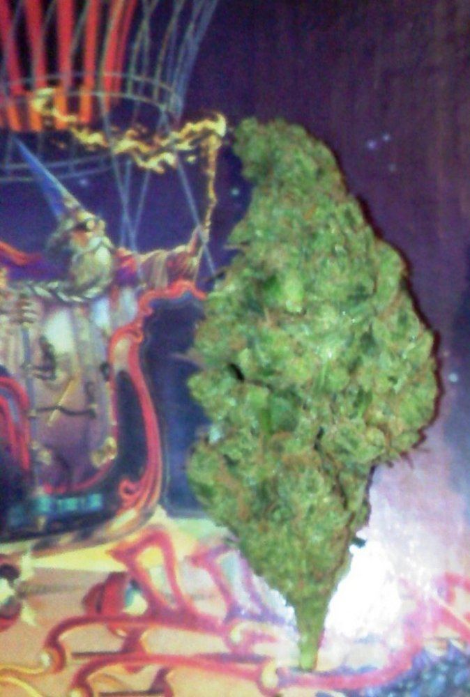420pic
