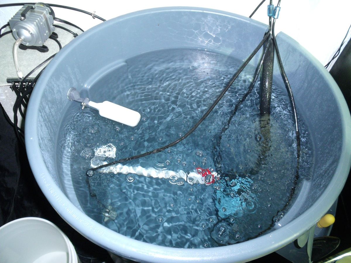 44 Gal Brute Rez2