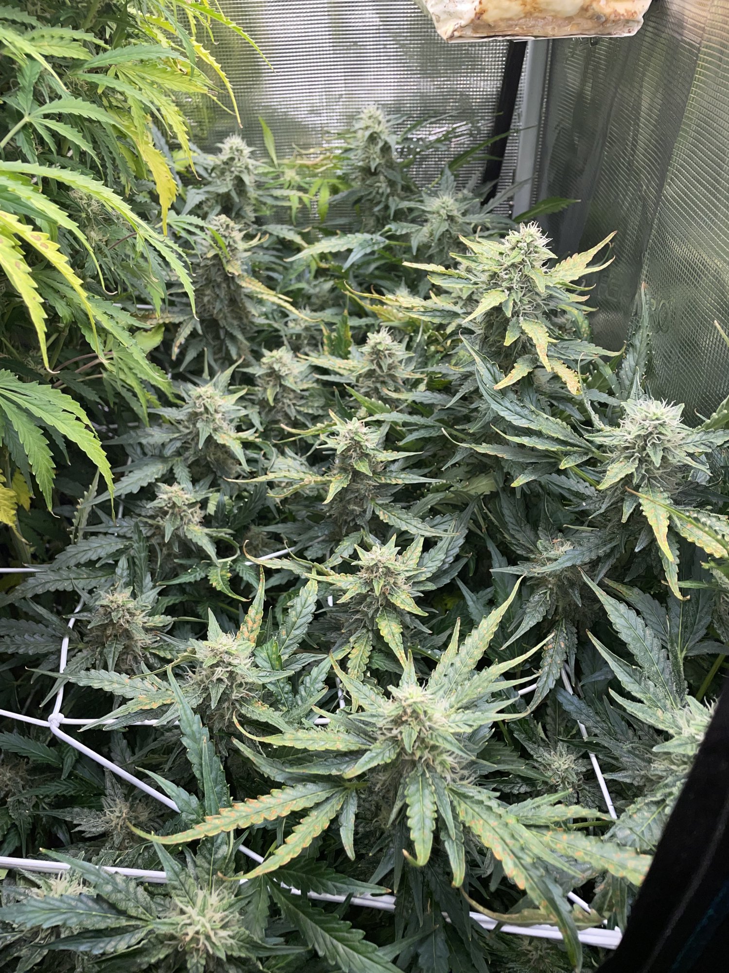 44099255 DF32 4000 B435 CBD4CA060B29