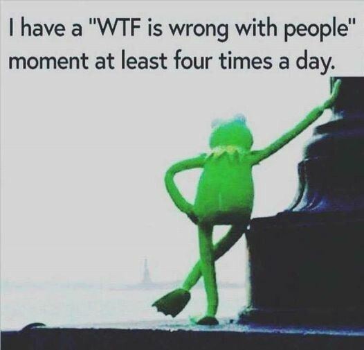 4524297b56dbe356