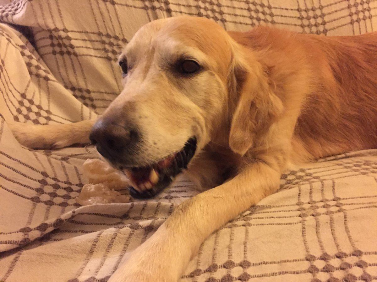 45F6B9E7 D6F1 44C5 955B 37FACA0AEF81