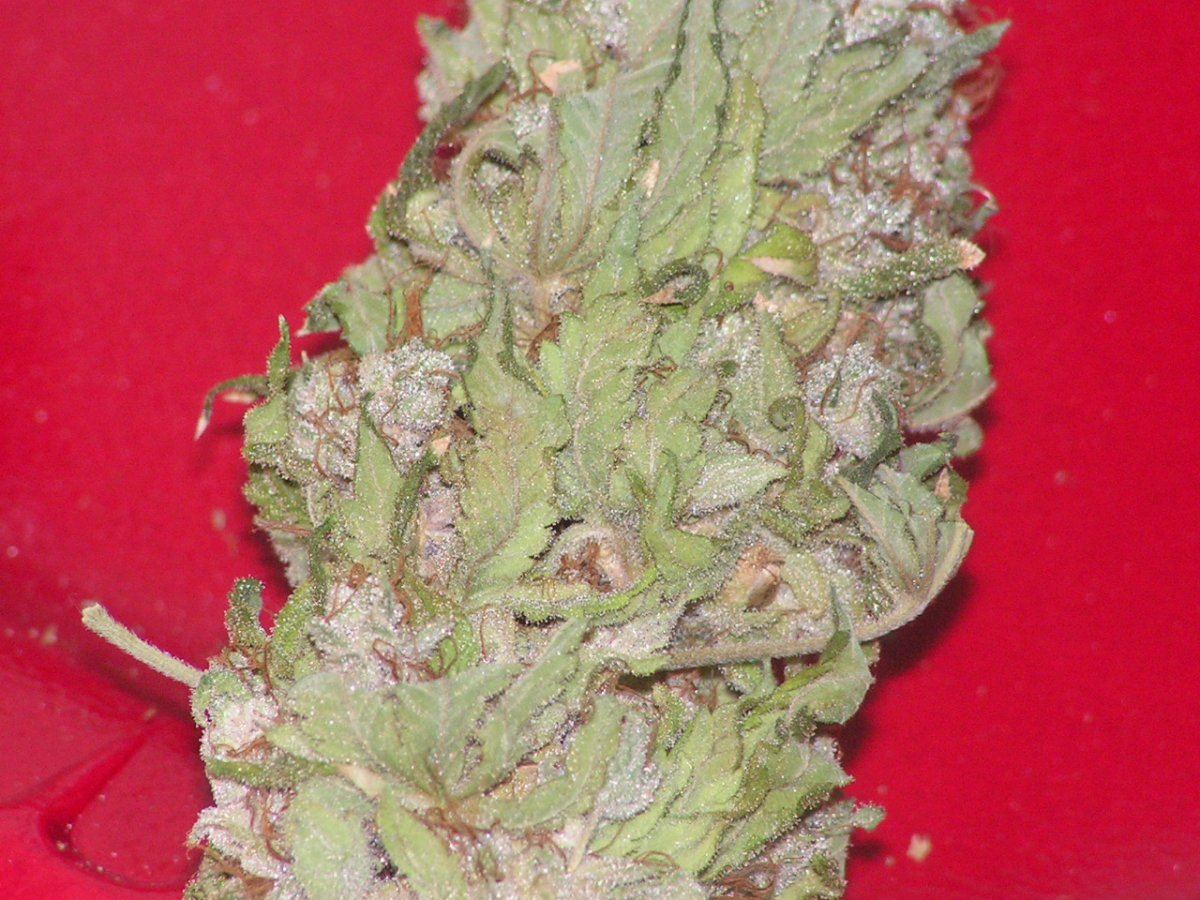 47