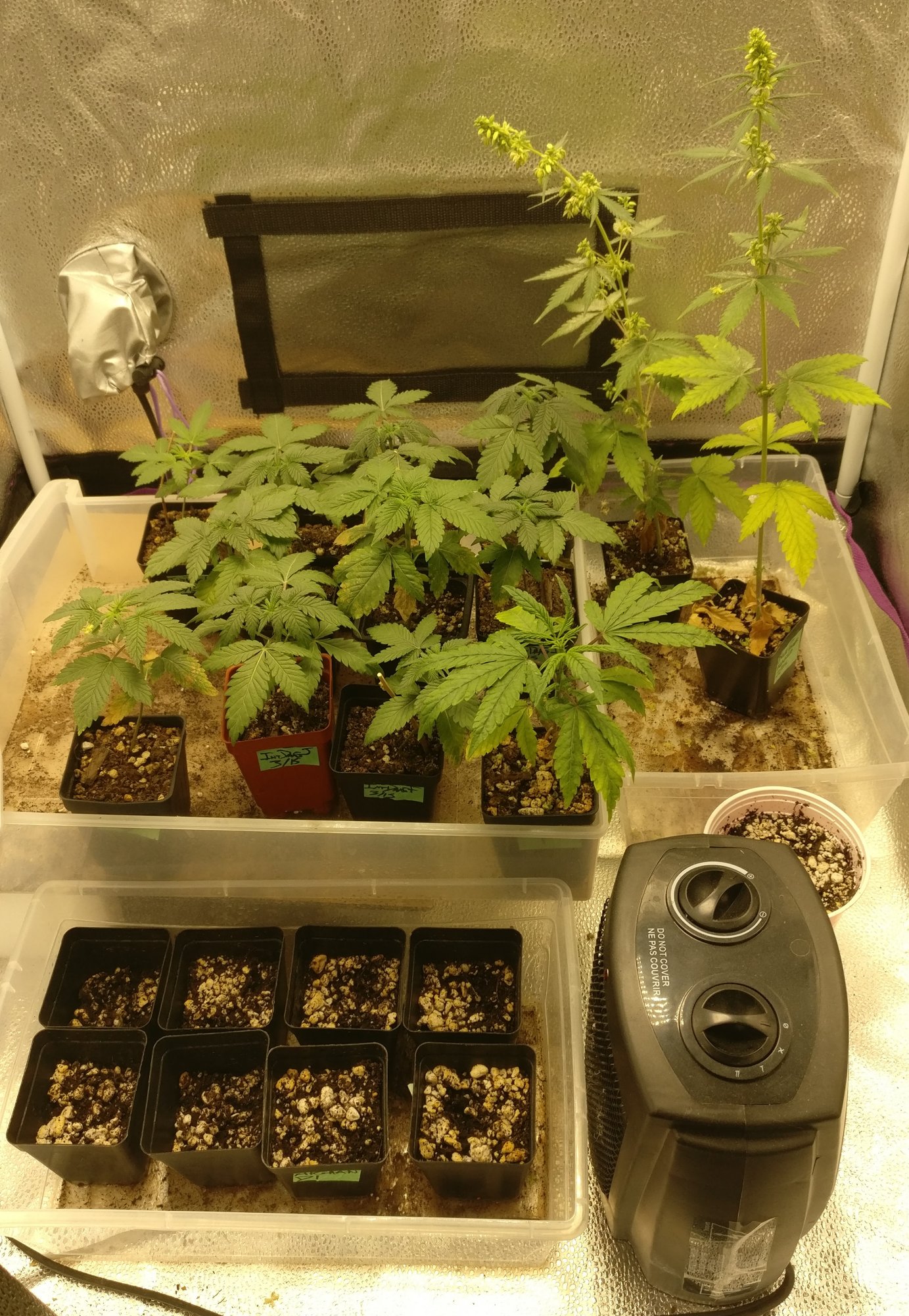 47tent