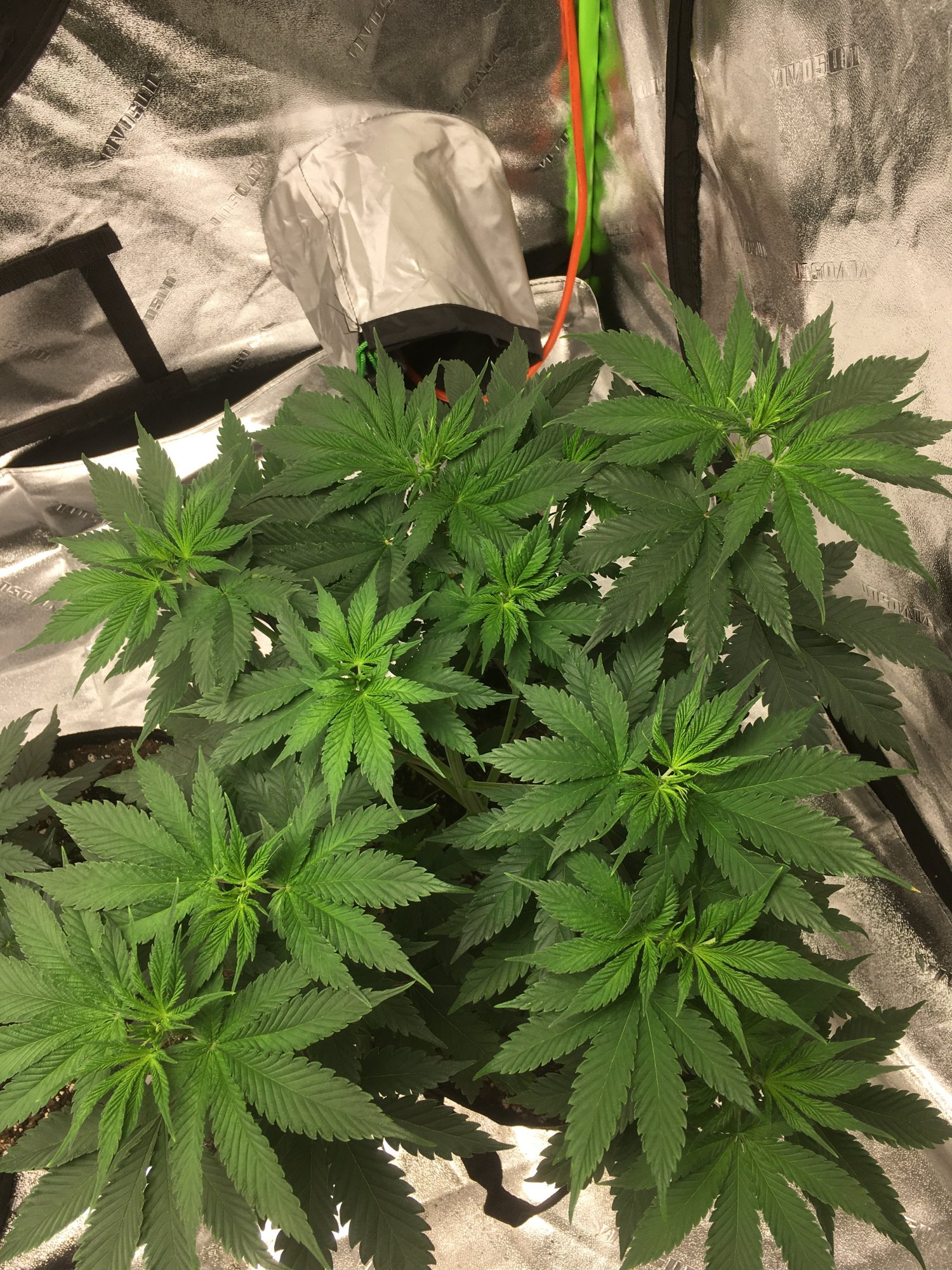 4x4 mars hydro attempt 2