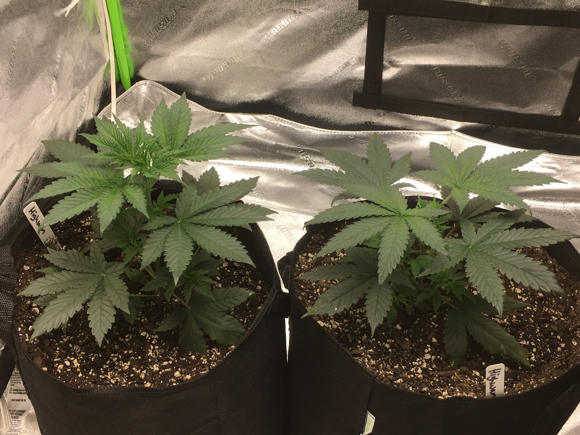 4x4 mars hydro attempt 3