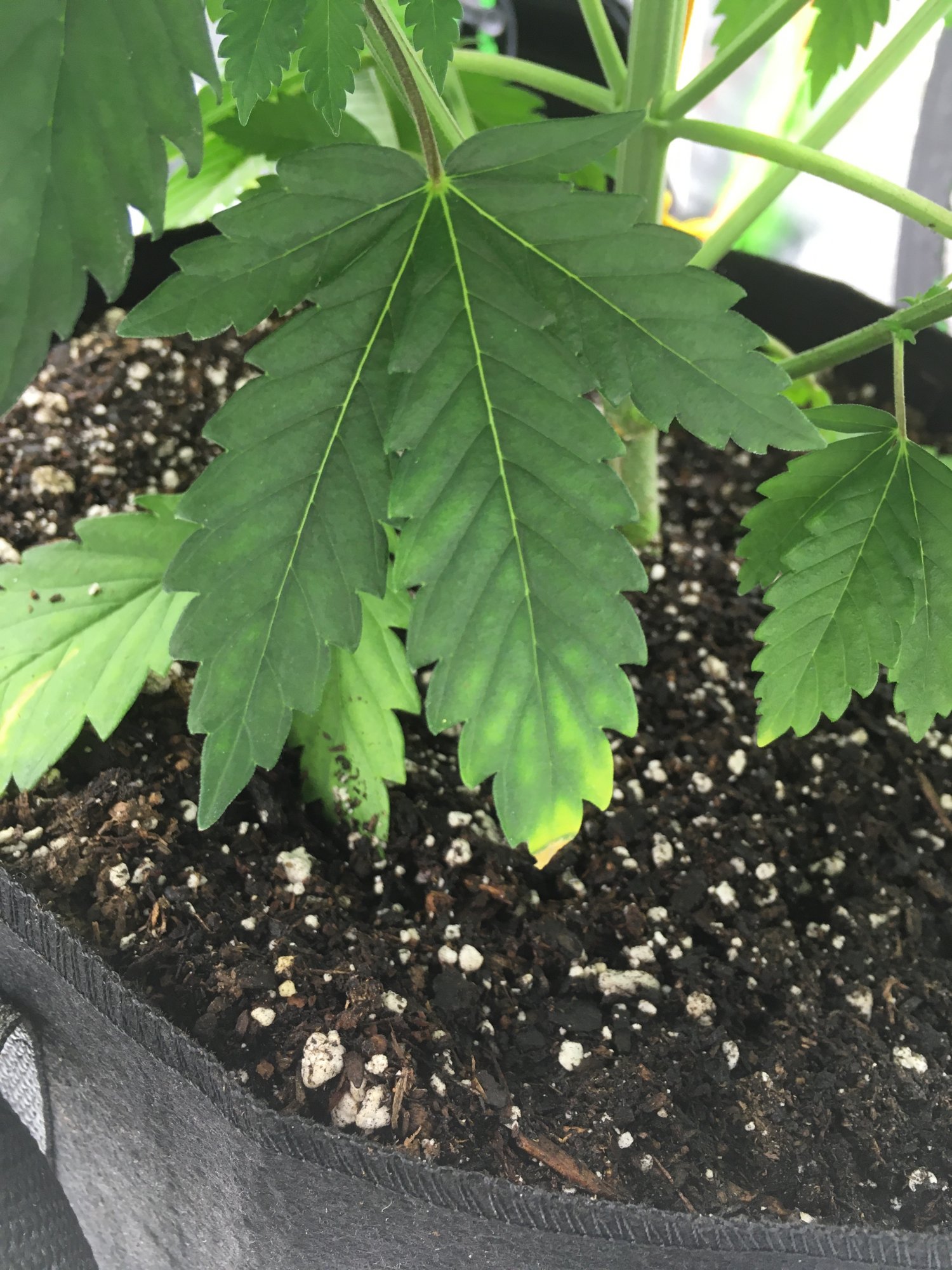 4x4 mars hydro attempt 4