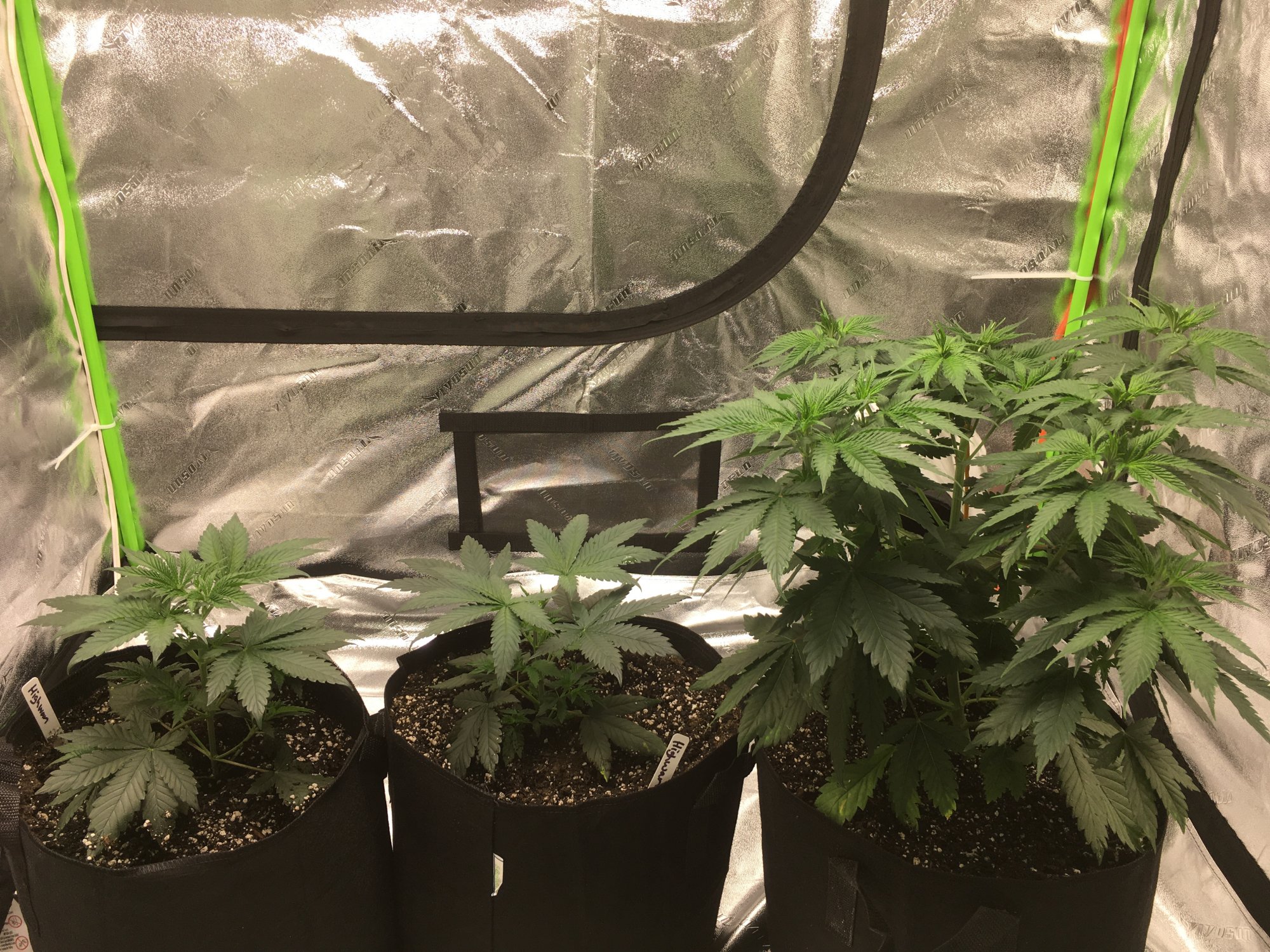 4x4 mars hydro attempt