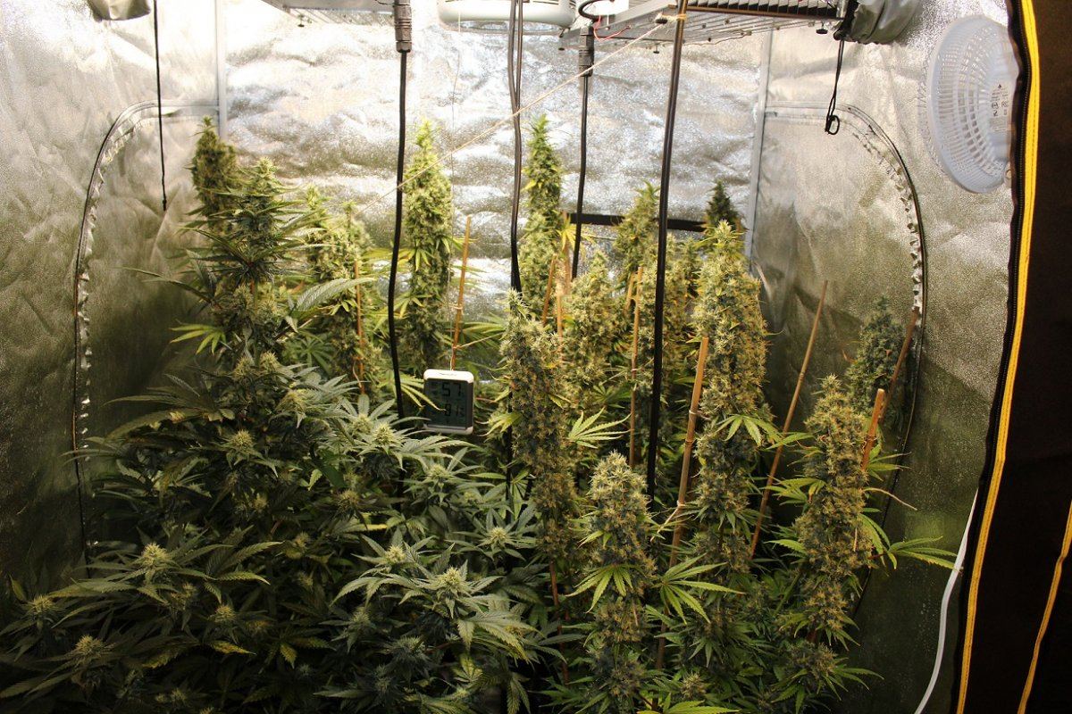 4x4tentDay74
