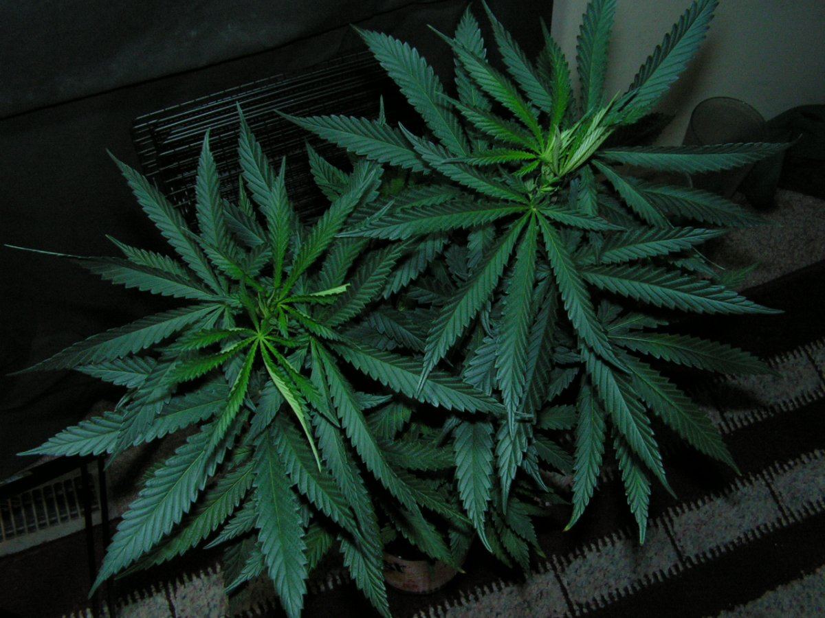 5 13