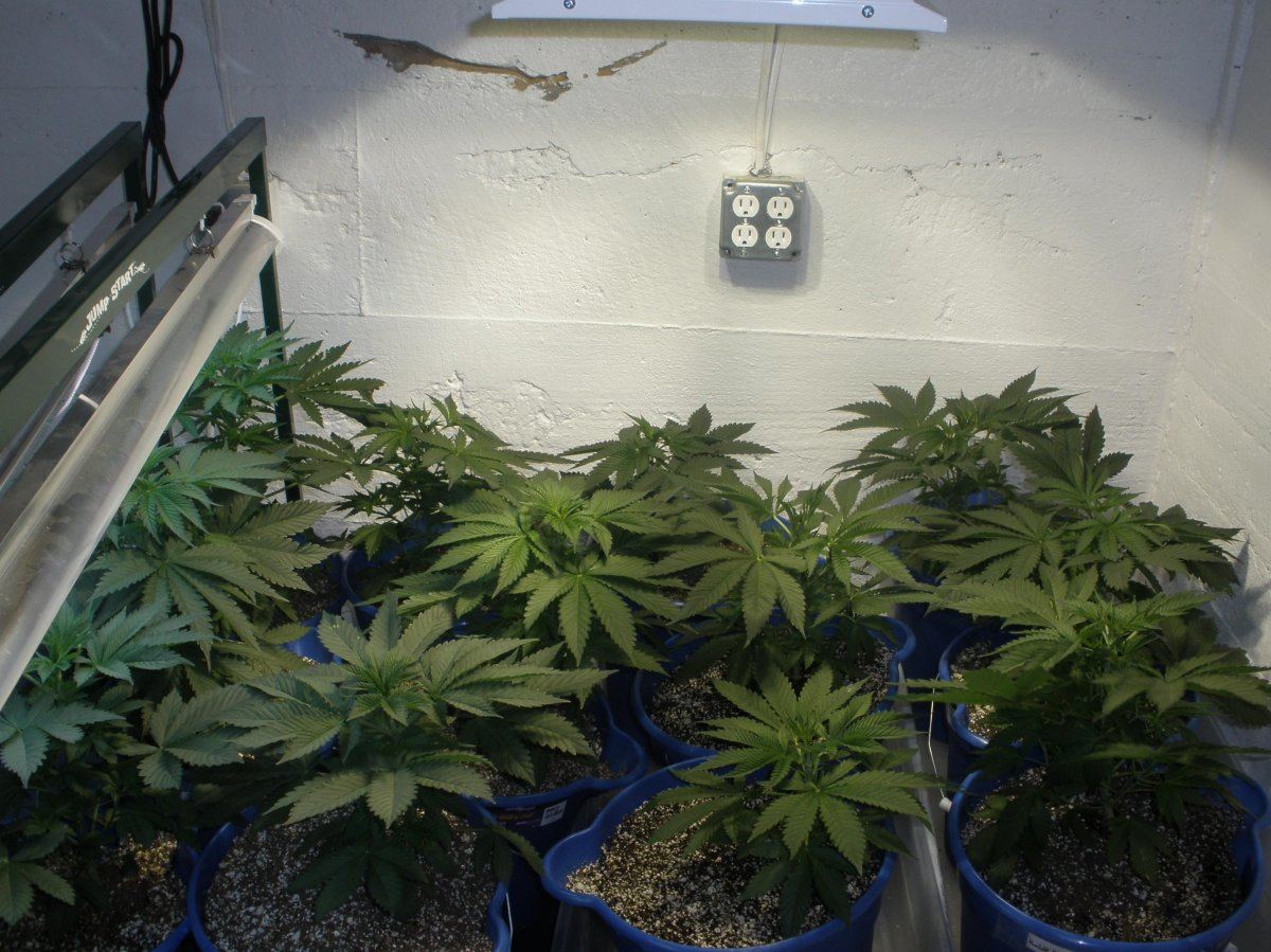 5 30 2009 room