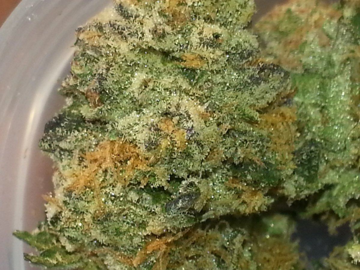 500 cookie