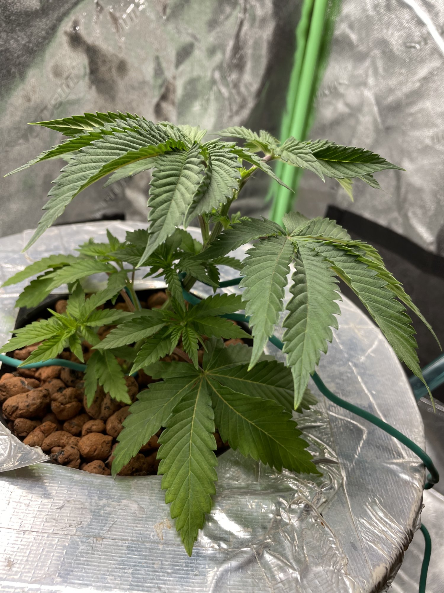 501FCC54 BAB6 41E9 8C26 A7074AC9E489