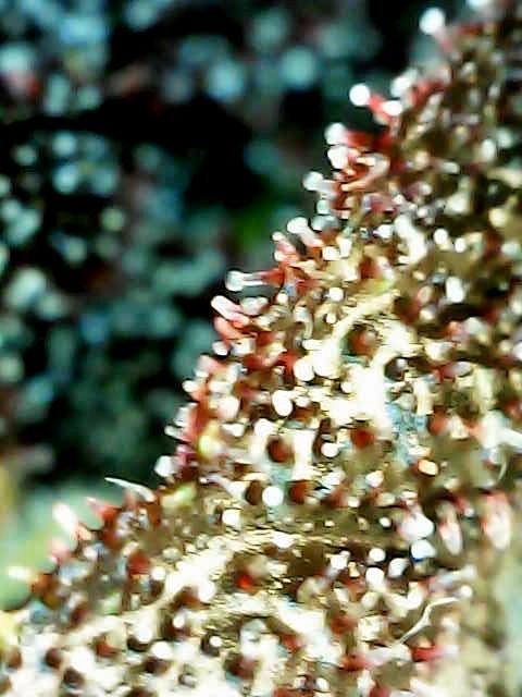 53FD28D2 CBD4 4B78 AC5E CCA8E85F0168