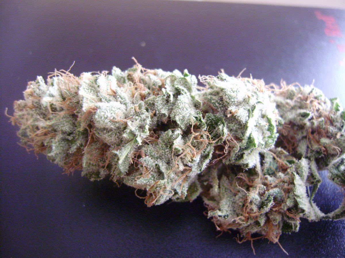 55daybubba