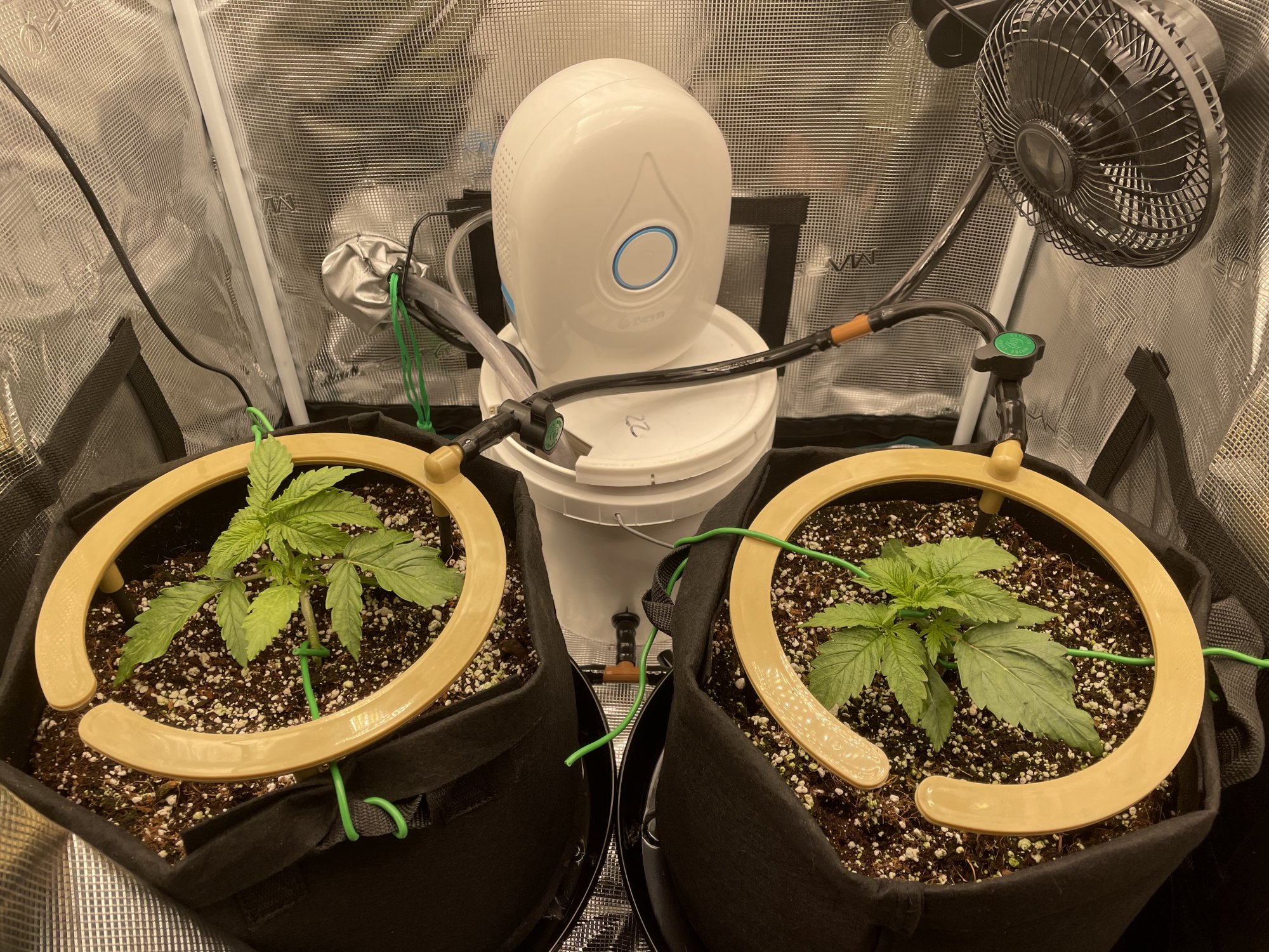56F78990 CBD2 4C2E 8997 8D74B7C08911