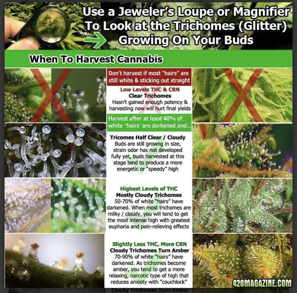 599ED420 03FD 4A1F 9B88 CFAC1D7986B1