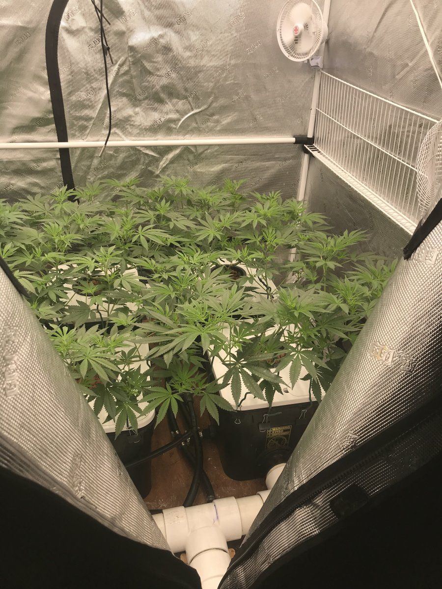 5BB8E061 D9F3 44B4 9B52 D88782D00D24