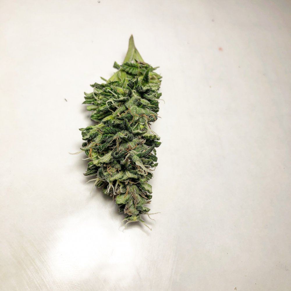5BE30AB9 E647 433B A581 7ADA26994728