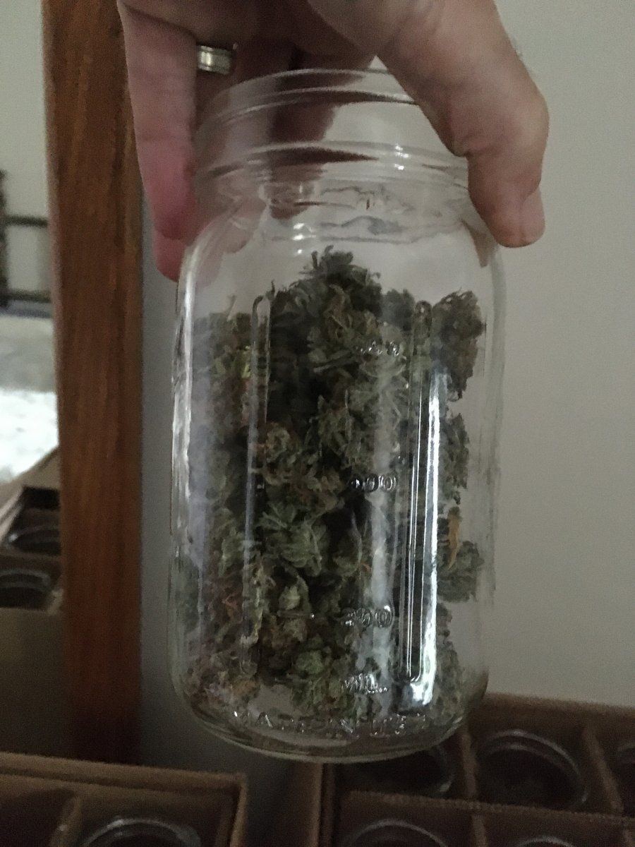 5BF233F6 DDF3 4F75 9444 8C9C47B7F5BE
