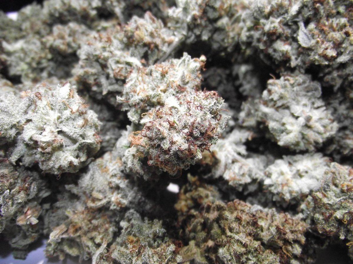5CS3
