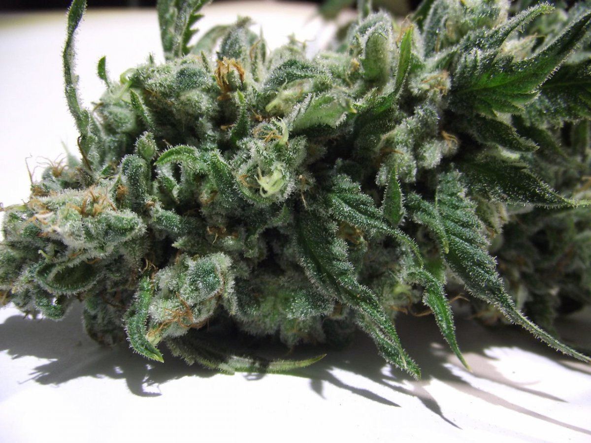 5SFC1