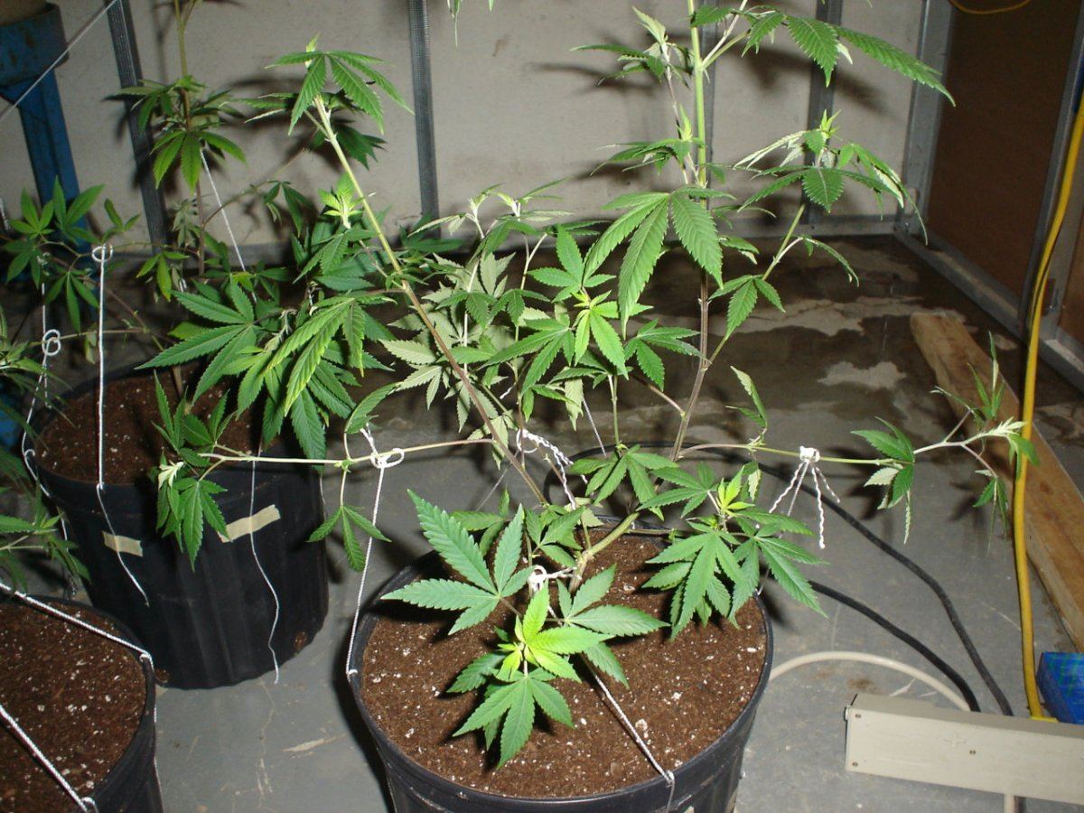 6 11 2012 LST 005