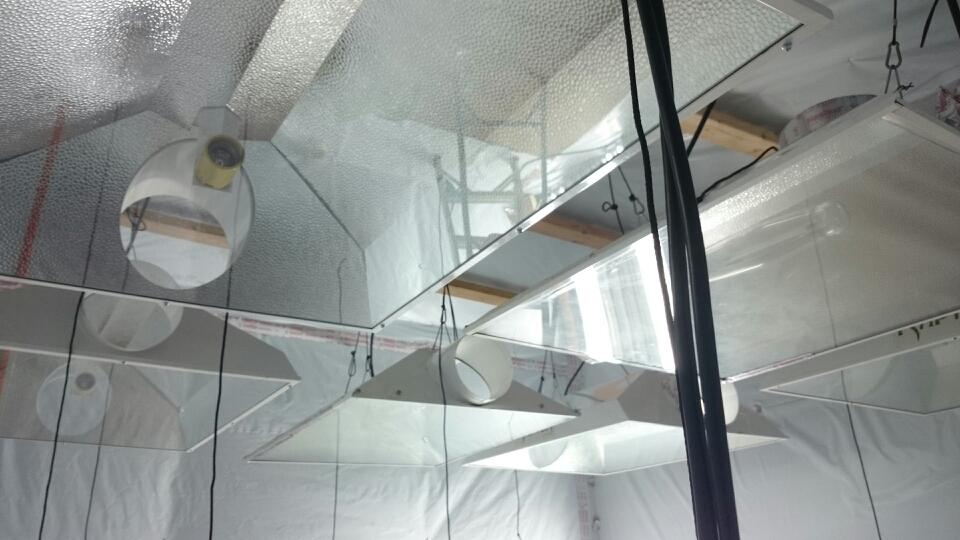 6000 watt coco grow 2