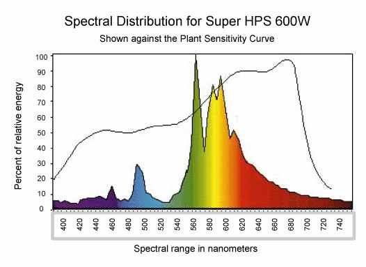 600hpscolor