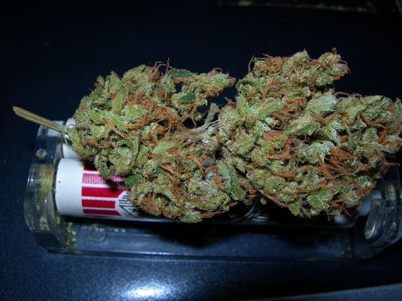 60DSCN0266