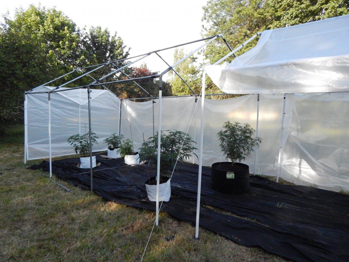 65 gallon sart pots 010