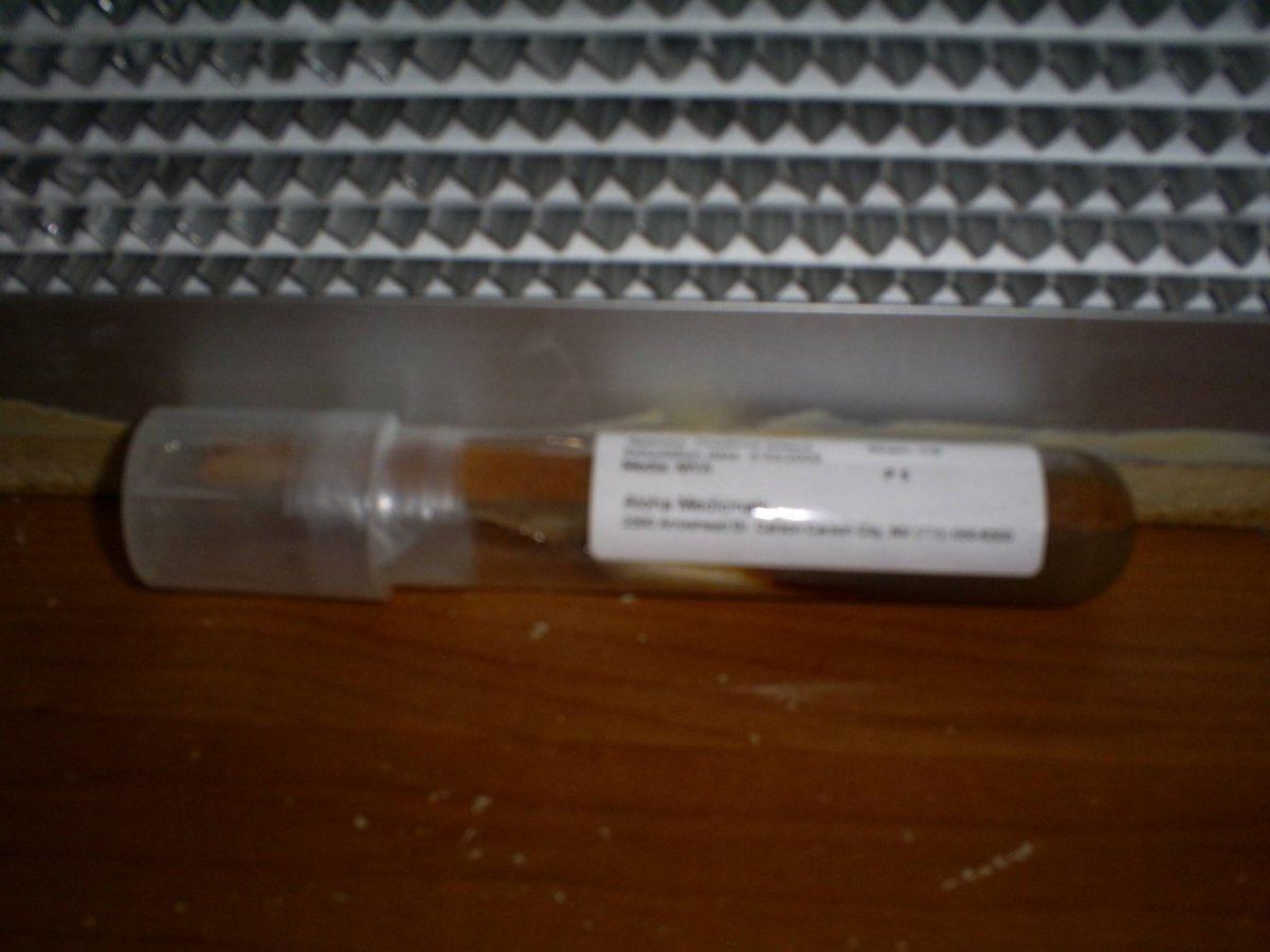 653598954 S5032361