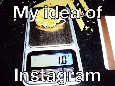 6552 weed measurements meme