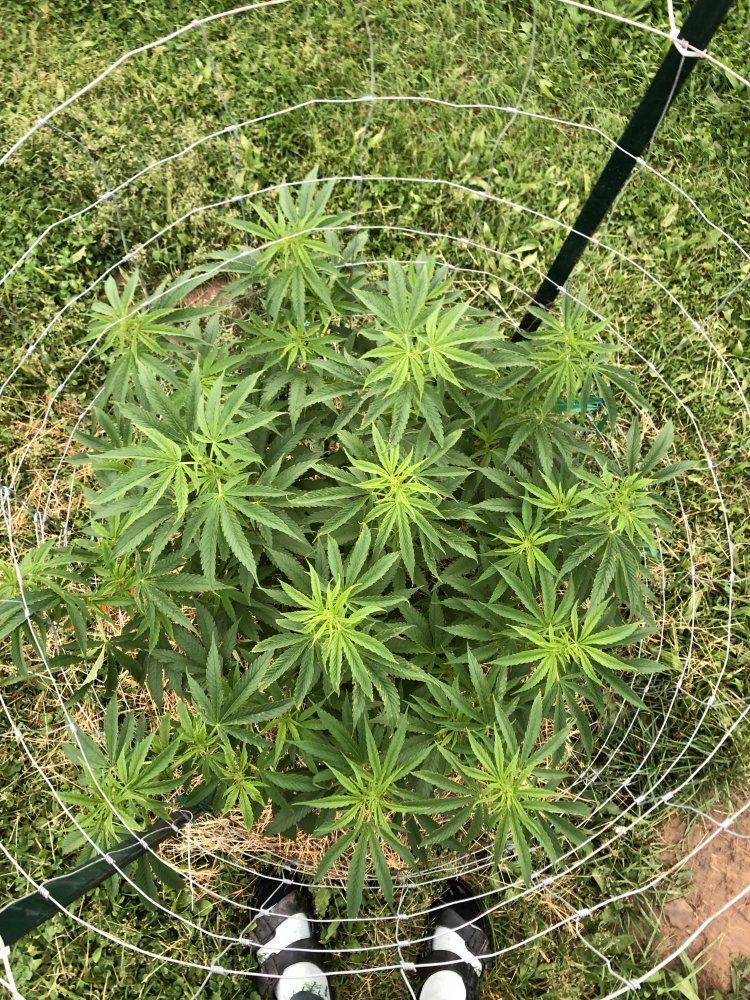 69B4D1EE A184 4727 9408 76F8CBD15CB1