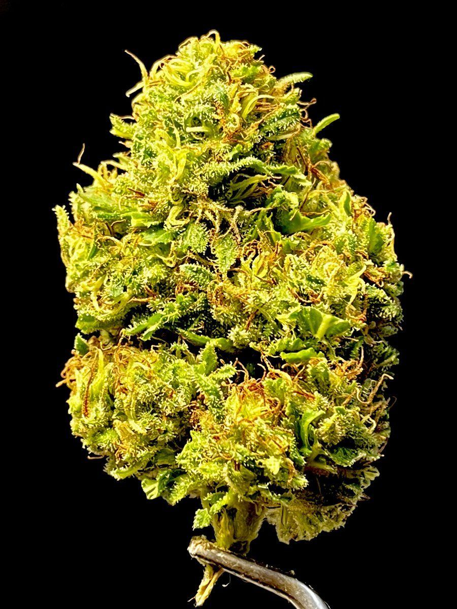 6ACAB2F6 D915 4E06 9E46 0552A074AEDA