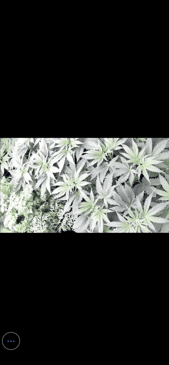 6EAB3C46 F46A 4EB3 BC55 3360A134E7A9