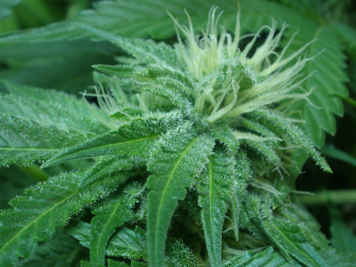 7 10 2009 Chem cu1