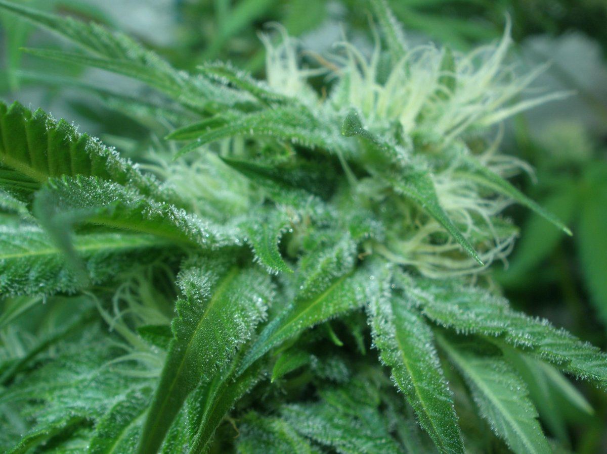 7 10 2009 Chem cu2