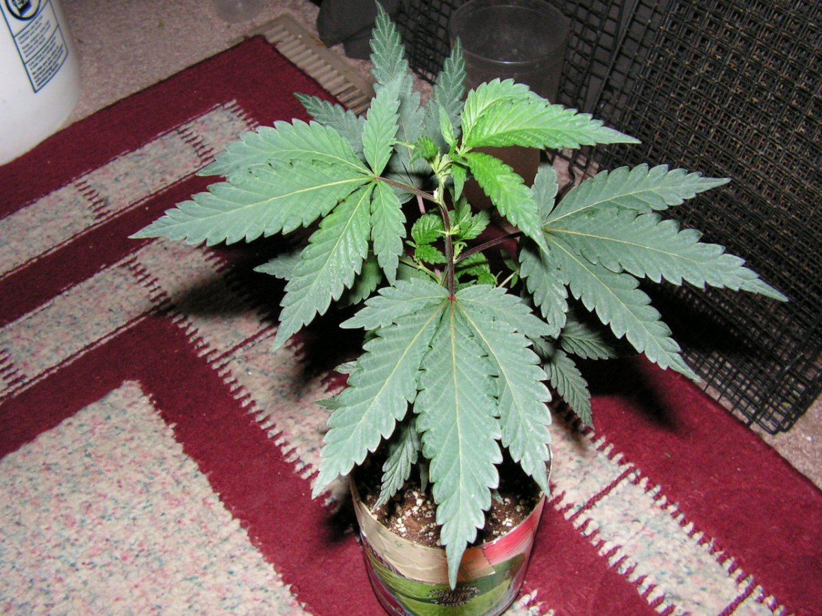 7 10