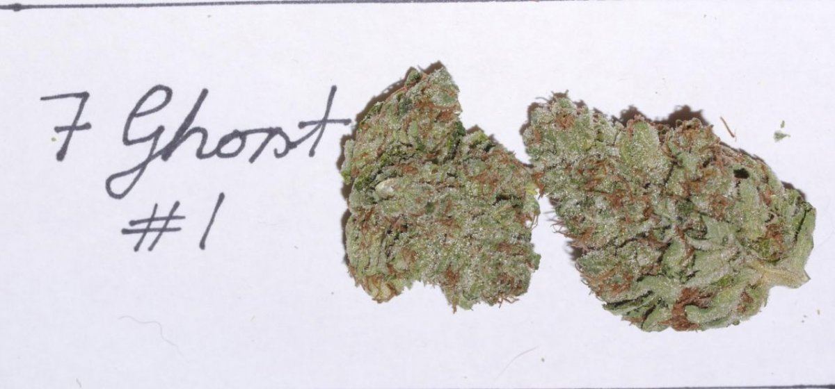 7 ghost 1