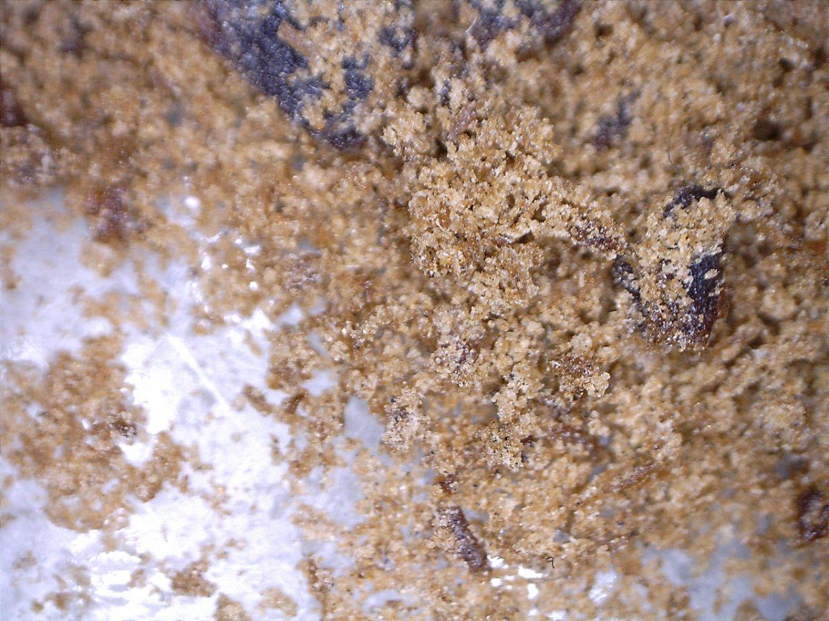 70iuhash100x
