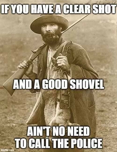 715c34f871228b04